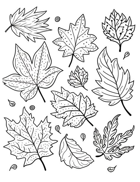 leaves coloring page